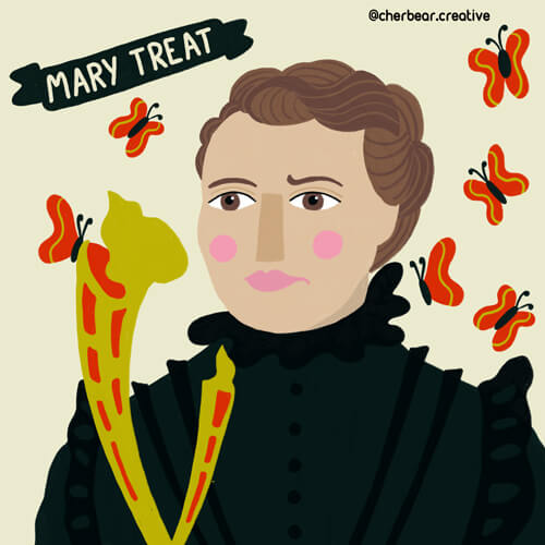 Mary Treat by Cherbear Creative Studio
